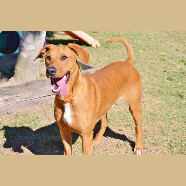 Photo of Link
