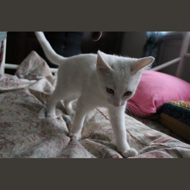 Photo of Katya