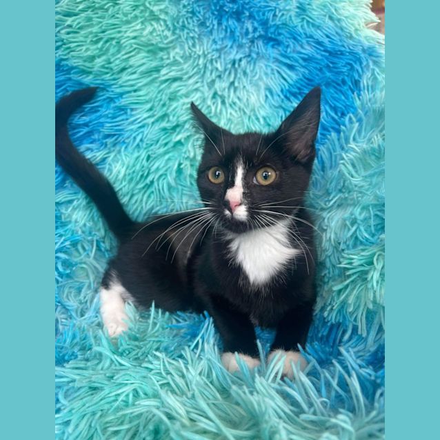 Photo of Lisa   Located In Cranbourne