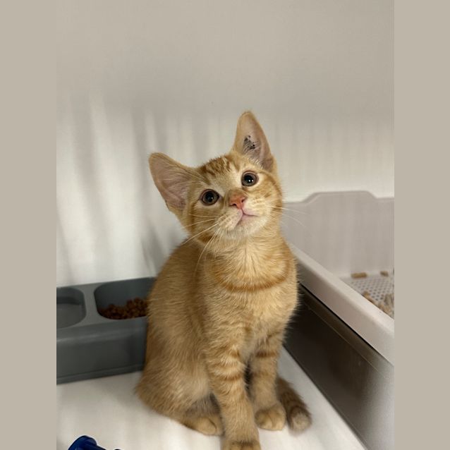 Photo of Jimmy