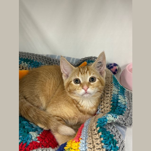 Photo of Ziggy