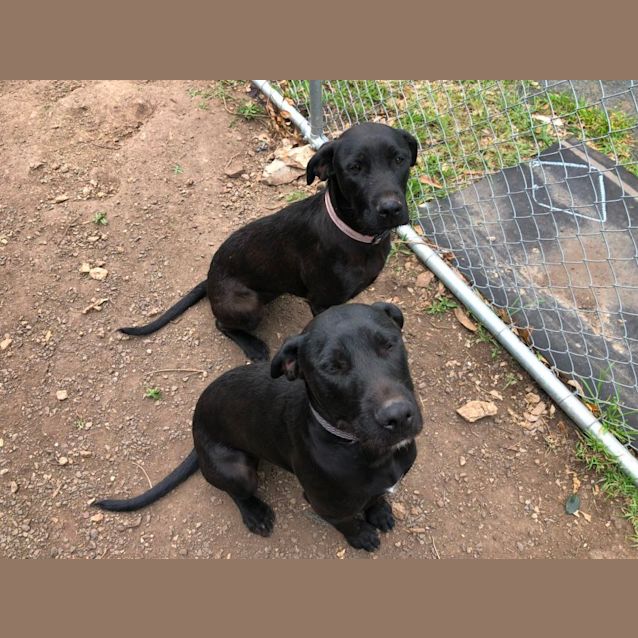 Photo of Maeve & Maggie