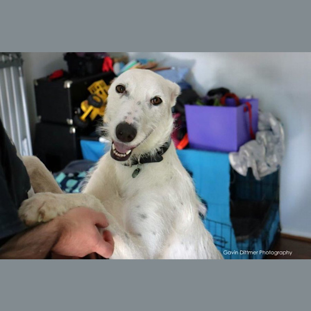 Photo of Tess Elderton