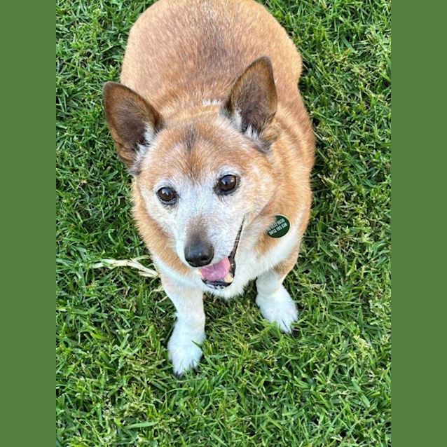 Photo of Walter Dahlstrom