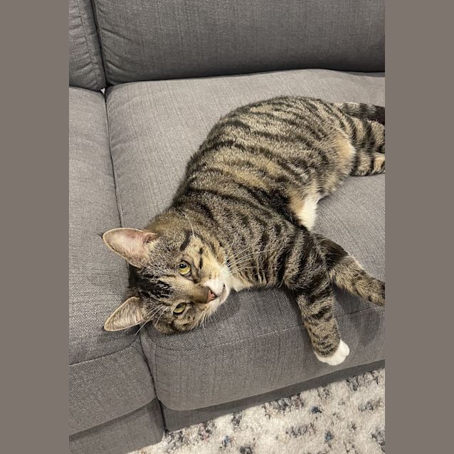 Photo of Twix