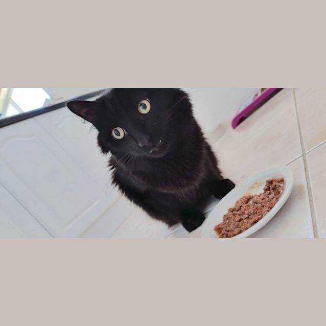 Photo of Boots