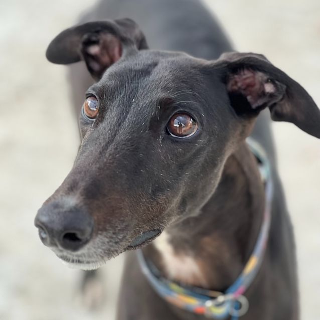 Photo of Birthday Cake