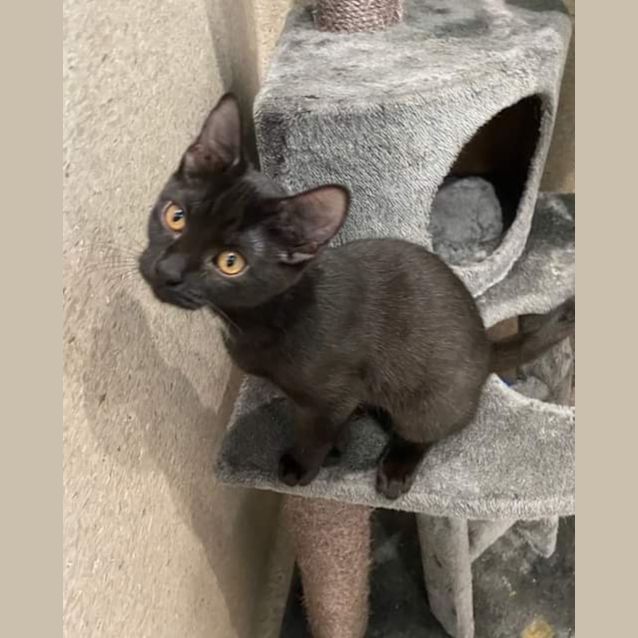 Photo of Fee