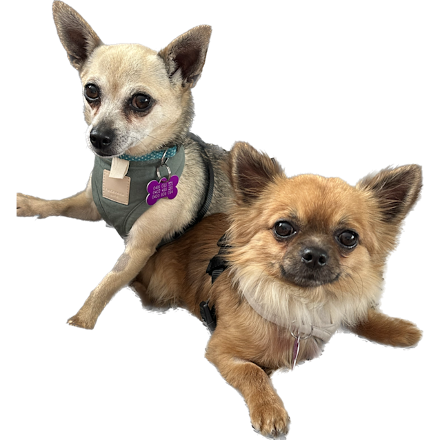 Photo of Candy And Latte