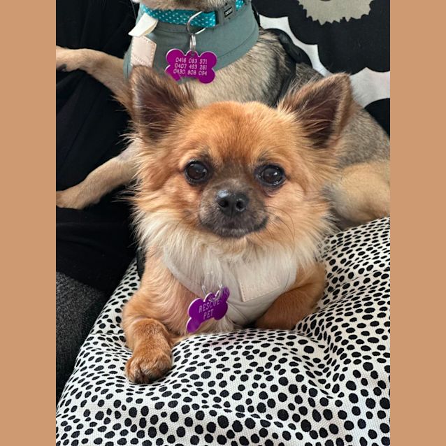 Photo of Candy And Latte