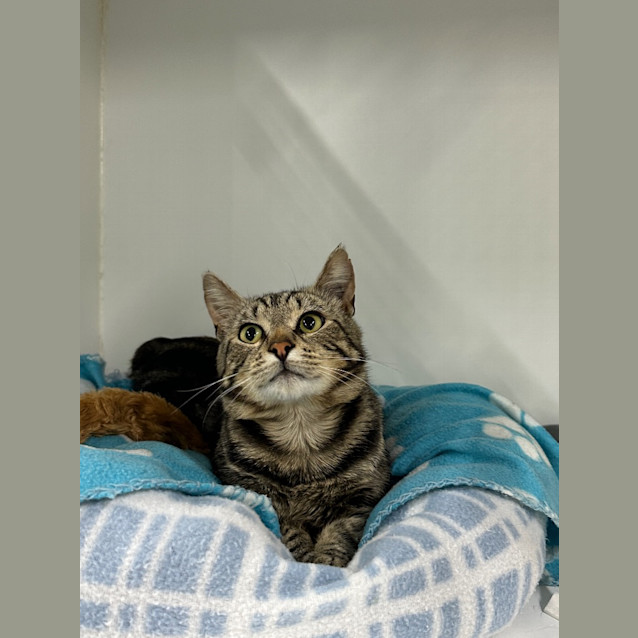 Photo of Binx
