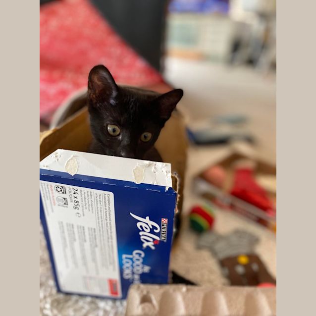 Photo of Monica And Chandler