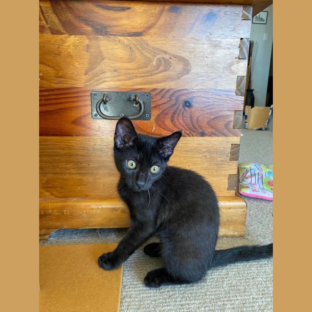 Photo of Monica And Chandler