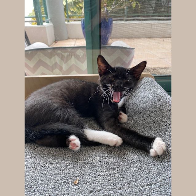 Photo of Monica And Chandler