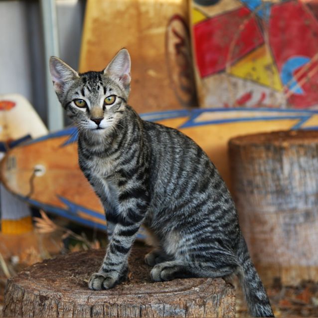 Photo of Jill