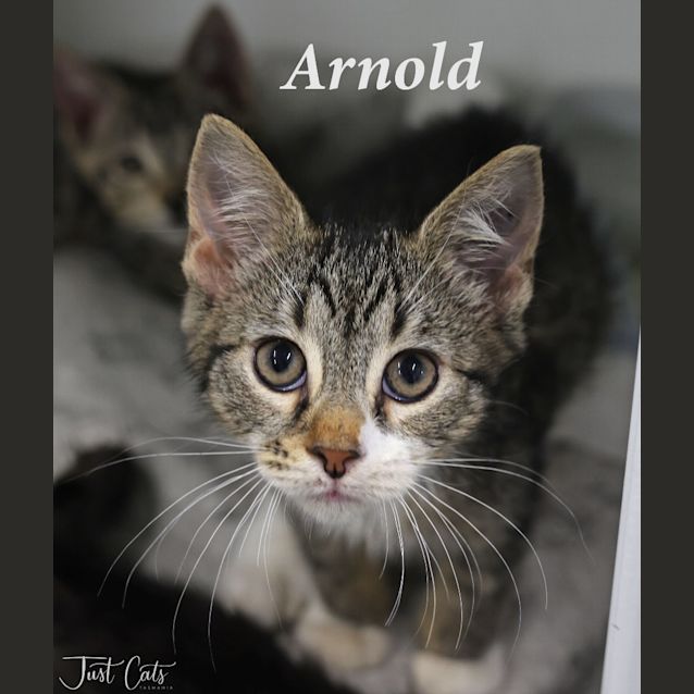 Photo of Arnold