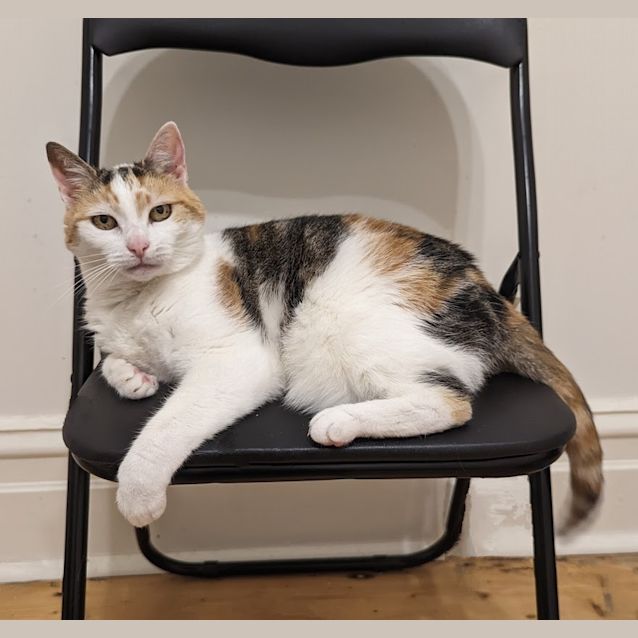 Photo of Bella Calix