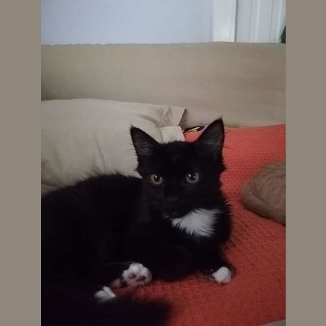 Photo of Zuko