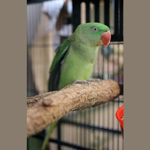 Photo of Chrystal