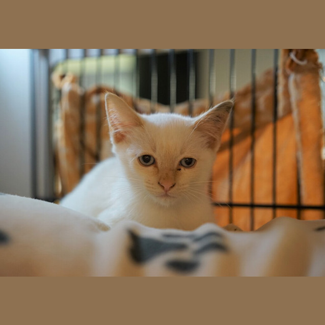 Photo of Tom