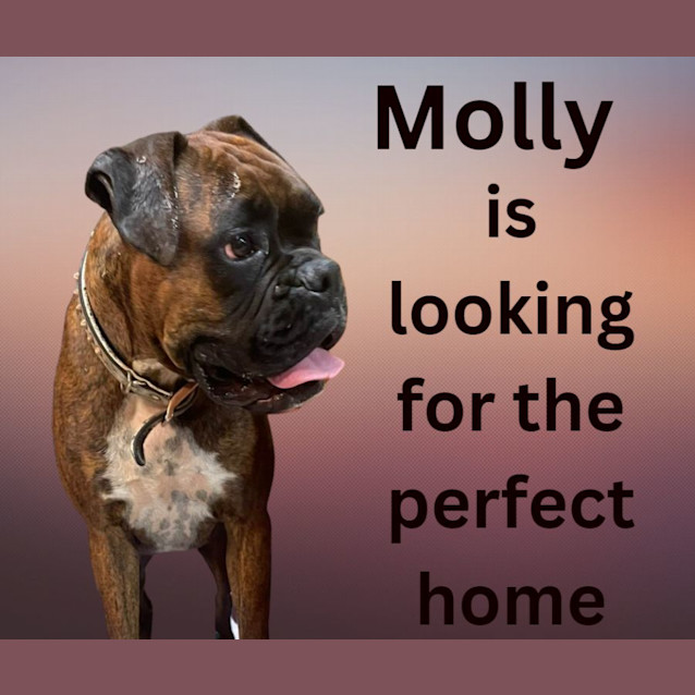 Photo of Molly