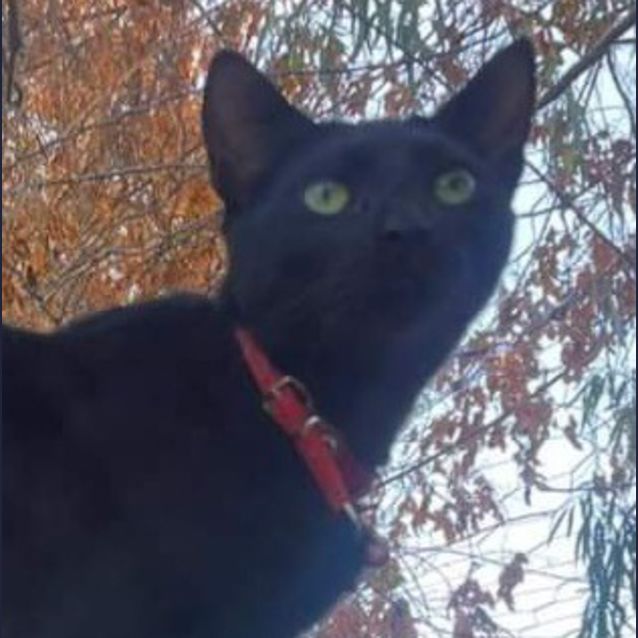 Photo of Xander