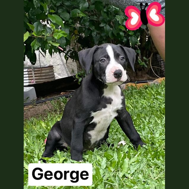 Photo of George