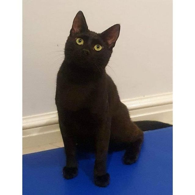 Photo of 8039   Dusk