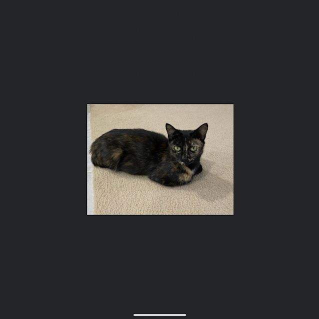 Photo of Sarah