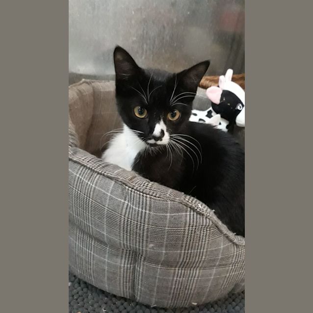 Photo of Precious