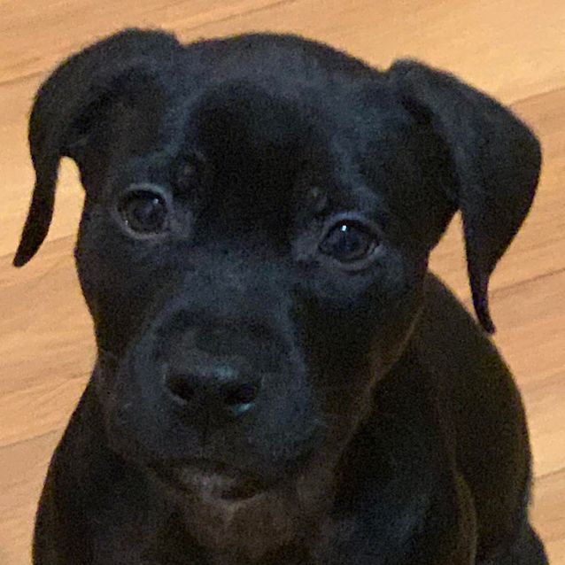 Photo of Clyde