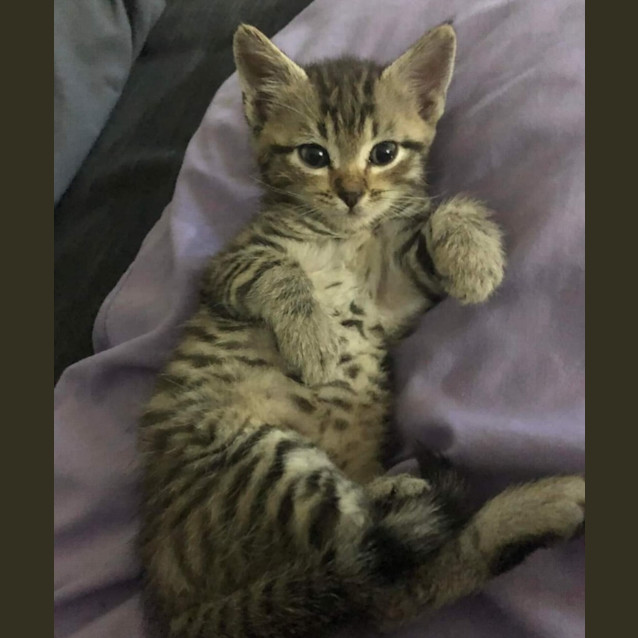 Photo of Clarke