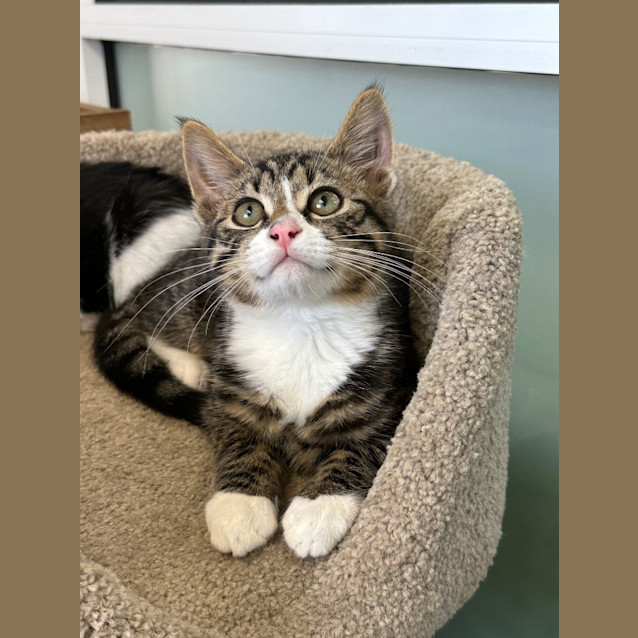 Photo of Slider