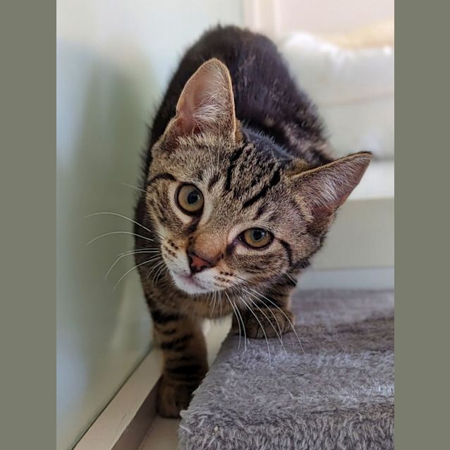 Photo of Morti And Gomez