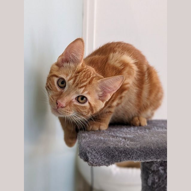 Photo of Morti And Gomez