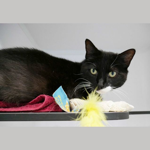 Photo of Shelly Sua010532