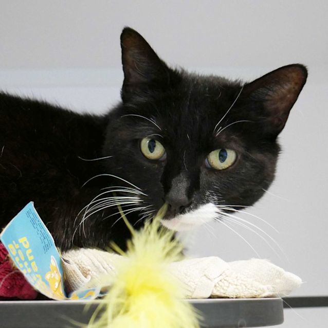 Photo of Shelly Sua010532