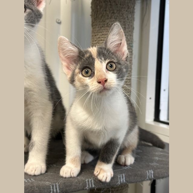 Photo of Tiny