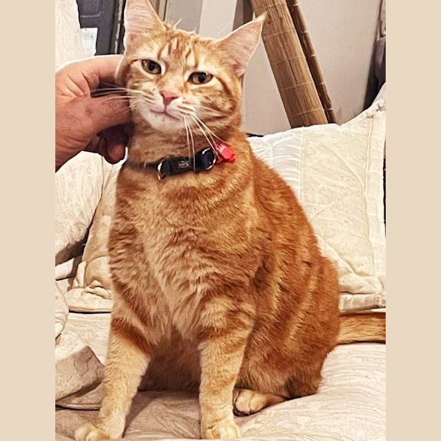 Photo of Libby