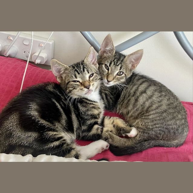 Photo of Chewie Lewis & Lil Nick