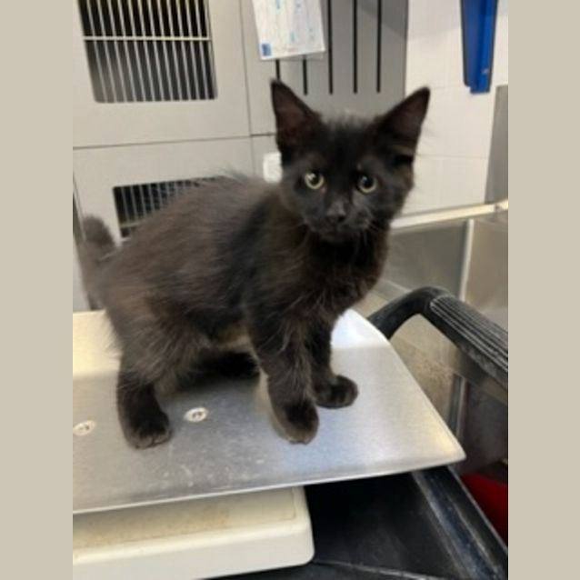 Photo of Wednesday
