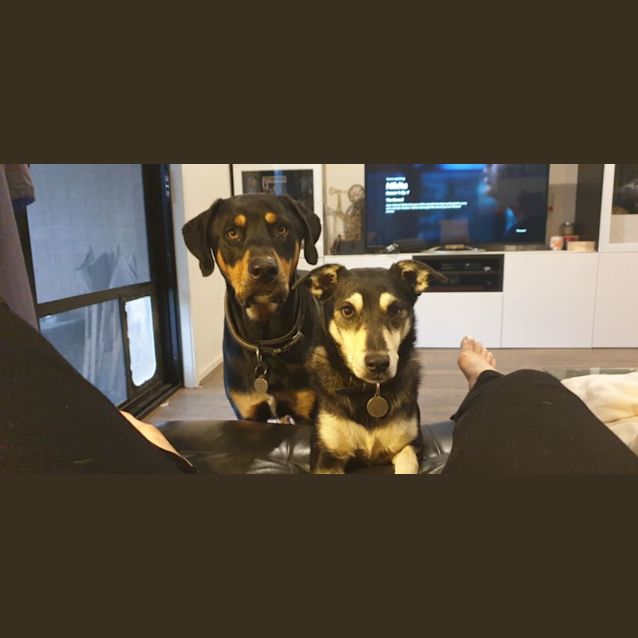 Photo of Jessie And Jaxon