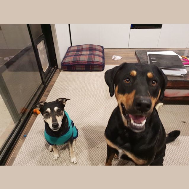 Photo of Jessie And Jaxon