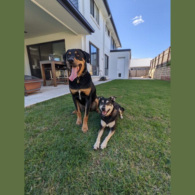 Photo of Jessie And Jaxon