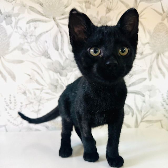 Photo of Timothy   Located In Preston