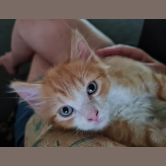 Photo of Monty
