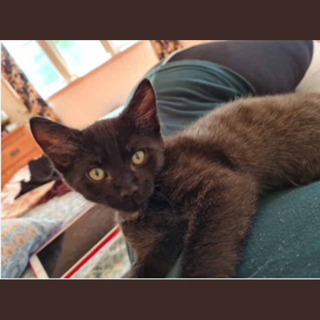 Photo of Jiji