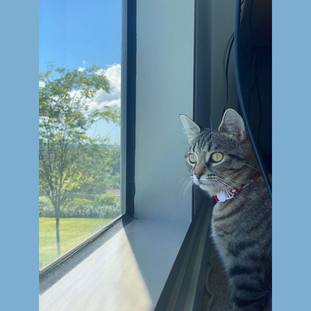 Photo of Neith 
