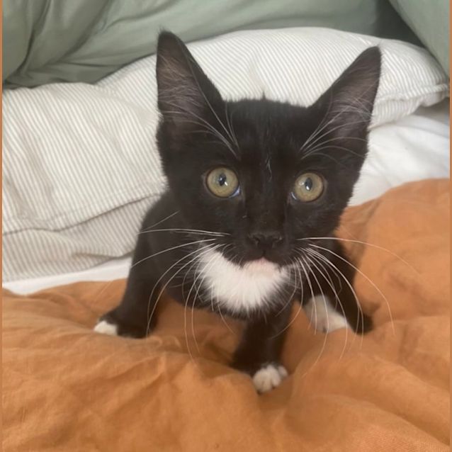 Photo of Lindy & Luna 