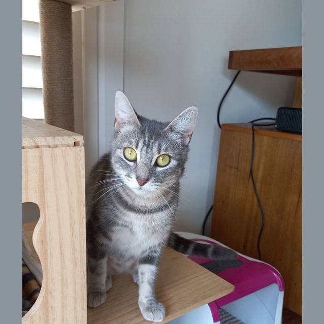 Photo of Casey
